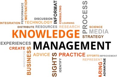 Things You Always Wanted to Know About Knowledge Management, But So Far Nobody’s Been Able to Tell You